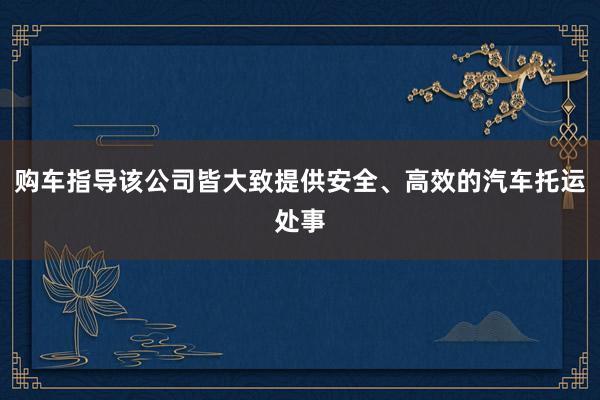 购车指导该公司皆大致提供安全、高效的汽车托运处事