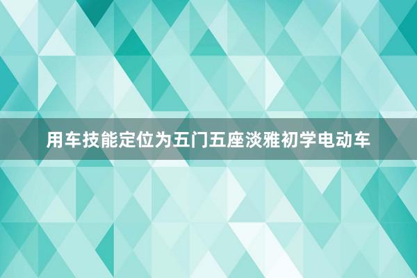 用车技能定位为五门五座淡雅初学电动车