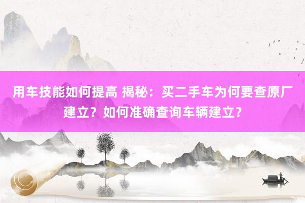 用车技能如何提高 揭秘：买二手车为何要查原厂建立？如何准确查询车辆建立？