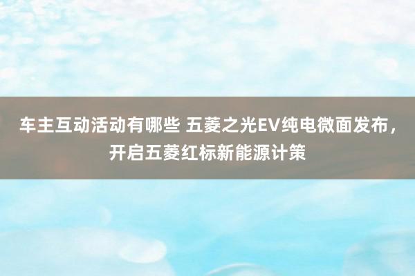 车主互动活动有哪些 五菱之光EV纯电微面发布，开启五菱红标新能源计策