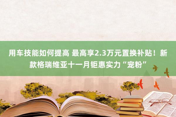 用车技能如何提高 最高享2.3万元置换补贴！新款格瑞维亚十一月钜惠实力“宠粉”