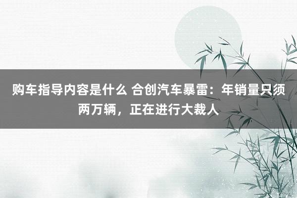 购车指导内容是什么 合创汽车暴雷：年销量只须两万辆，正在进行大裁人