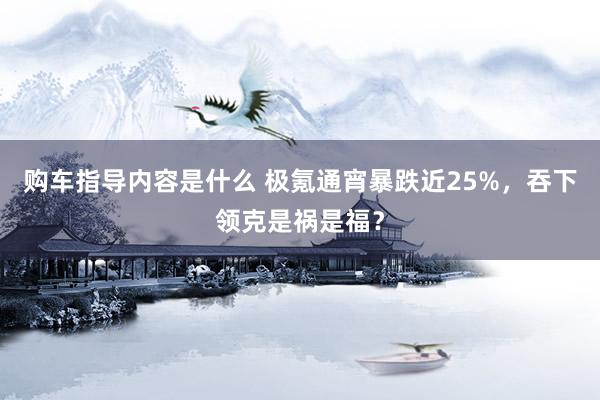 购车指导内容是什么 极氪通宵暴跌近25%，吞下领克是祸是福？