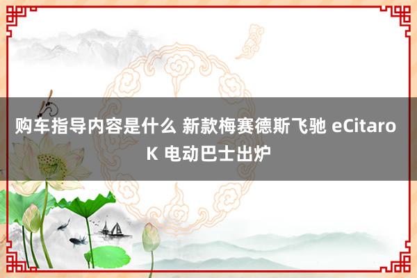 购车指导内容是什么 新款梅赛德斯飞驰 eCitaro K 电动巴士出炉