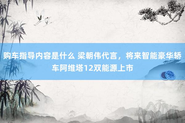 购车指导内容是什么 梁朝伟代言，将来智能豪华轿车阿维塔12双能源上市