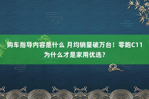 购车指导内容是什么 月均销量破万台！零跑C11为什么才是家用优选？