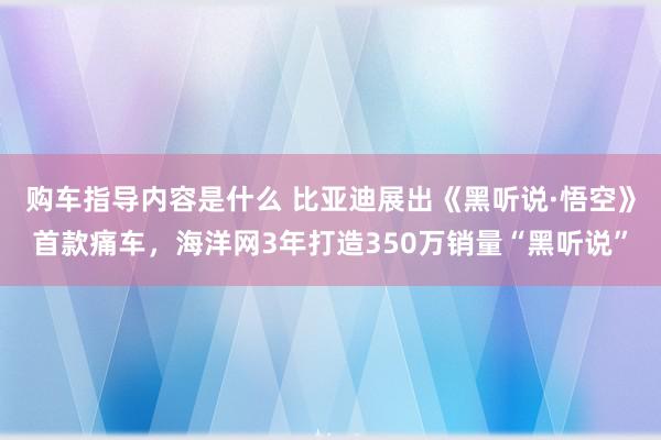 购车指导内容是什么 比亚迪展出《黑听说·悟空》首款痛车，海洋网3年打造350万销量“黑听说”