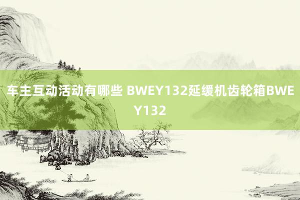 车主互动活动有哪些 BWEY132延缓机齿轮箱BWEY132