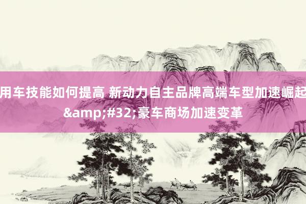 用车技能如何提高 新动力自主品牌高端车型加速崛起&#32;豪车商场加速变革