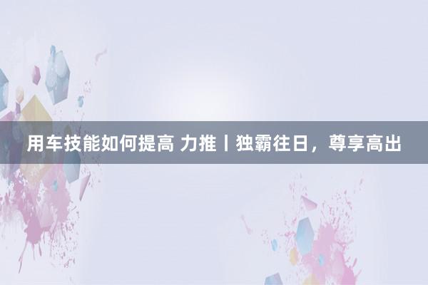 用车技能如何提高 力推丨独霸往日，尊享高出