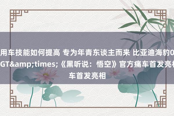 用车技能如何提高 专为年青东谈主而来 比亚迪海豹06GT&times;《黑听说：悟空》官方痛车首发亮相