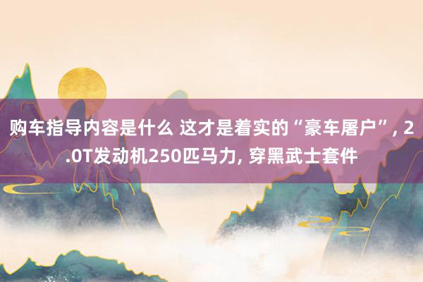 购车指导内容是什么 这才是着实的“豪车屠户”, 2.0T发动机250匹马力, 穿黑武士套件