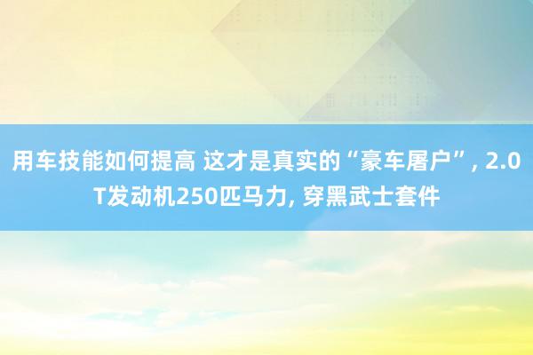 用车技能如何提高 这才是真实的“豪车屠户”, 2.0T发动机250匹马力, 穿黑武士套件