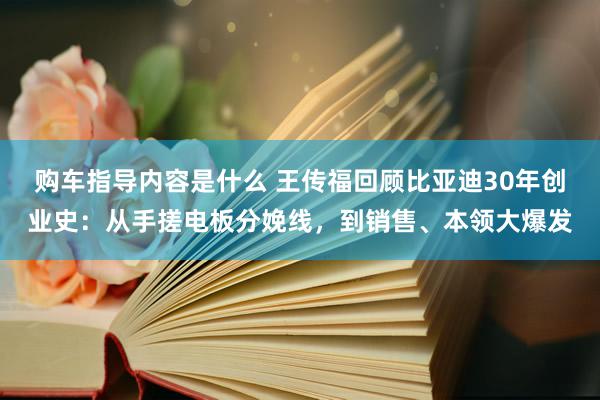 购车指导内容是什么 王传福回顾比亚迪30年创业史：从手搓电板分娩线，到销售、本领大爆发