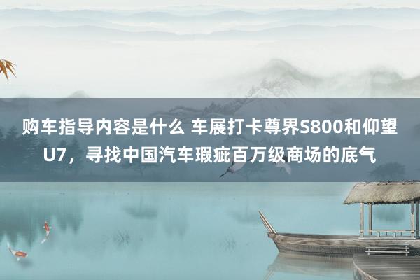 购车指导内容是什么 车展打卡尊界S800和仰望U7，寻找中国汽车瑕疵百万级商场的底气