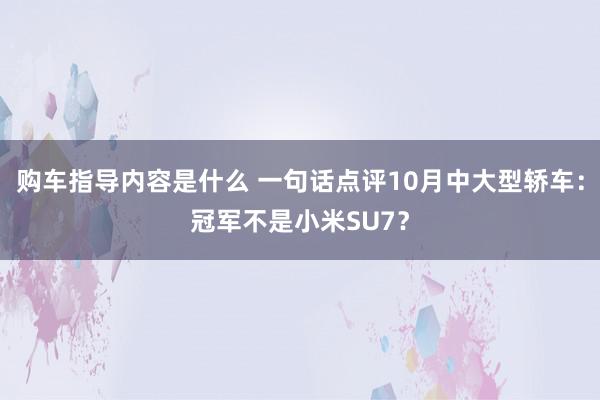 购车指导内容是什么 一句话点评10月中大型轿车：冠军不是小米SU7？