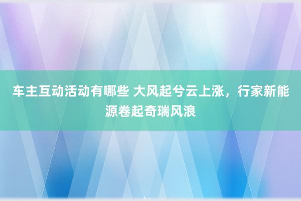 车主互动活动有哪些 大风起兮云上涨，行家新能源卷起奇瑞风浪