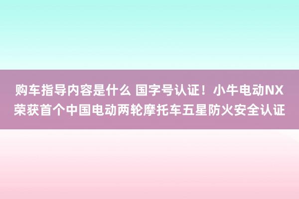 购车指导内容是什么 国字号认证！小牛电动NX荣获首个中国电动两轮摩托车五星防火安全认证