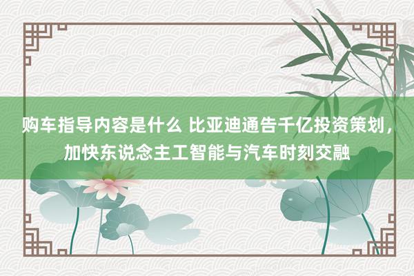 购车指导内容是什么 比亚迪通告千亿投资策划，加快东说念主工智能与汽车时刻交融