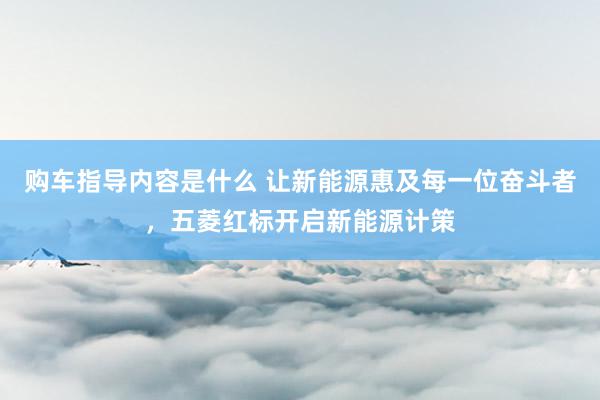 购车指导内容是什么 让新能源惠及每一位奋斗者，五菱红标开启新能源计策