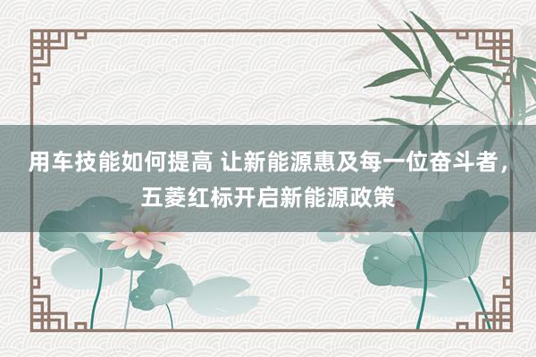 用车技能如何提高 让新能源惠及每一位奋斗者，五菱红标开启新能源政策