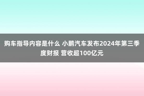 购车指导内容是什么 小鹏汽车发布2024年第三季度财报 营收超100亿元