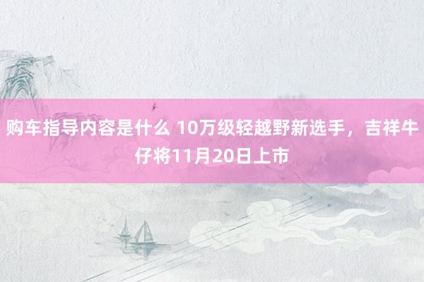 购车指导内容是什么 10万级轻越野新选手，吉祥牛仔将11月20日上市