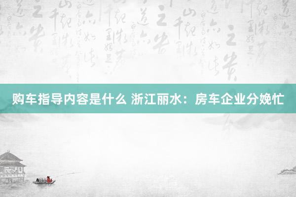 购车指导内容是什么 浙江丽水：房车企业分娩忙