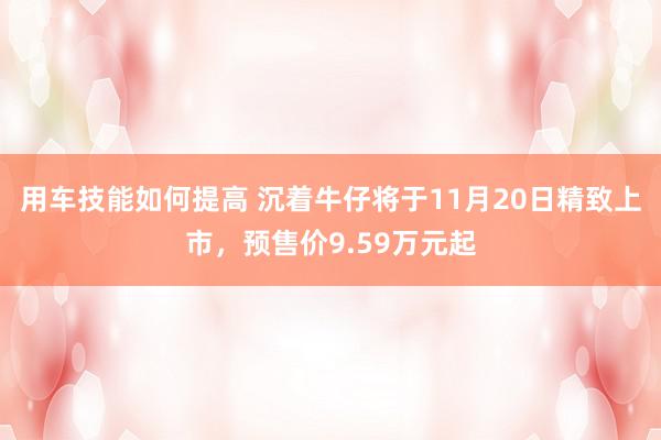 用车技能如何提高 沉着牛仔将于11月20日精致上市，预售价9.59万元起