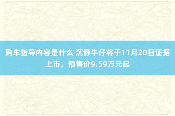 购车指导内容是什么 沉静牛仔将于11月20日证据上市，预售价9.59万元起