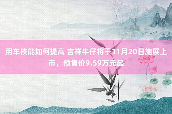 用车技能如何提高 吉祥牛仔将于11月20日施展上市，预售价9.59万元起